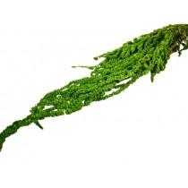 Amaranthus, j. zelen, 150 g