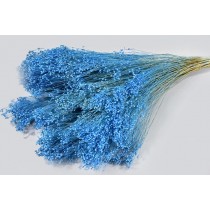 Broom bloom, modra, 100 g