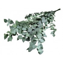 Eucalyptus stuartiana LB, prep, zelen, 150 g