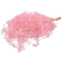 Gipsophila mini ID, svetlo roza, 50 g