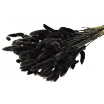 Lagurus ID, črn, 100 g