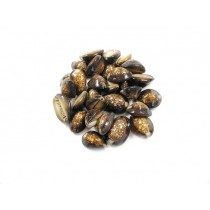 Školjke Caput, natur, 500 g
