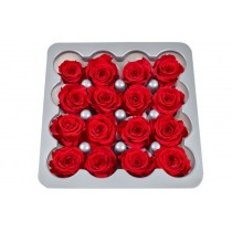 Vrtnice prep. PRINCESA, rdeča, fi 2-2,5 cm, 16 kosov