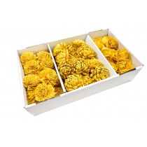 Shola cvetovi mešani, rumeni, 60 kosov