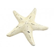 Morska zvezda iz papmašeja, 25cm, 2 kosa