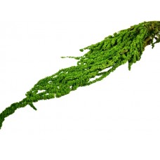 Amaranthus, j. zelen, 150 g