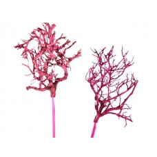 Dry tree na p., mix m. roza/barva robide, 50 kosov
