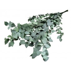 Eucalyptus stuartiana LB, prep, zelen, 150 g