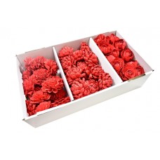Shola cvetovi mešani, rdeči, 60 kosov