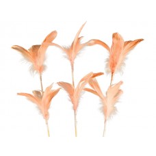 Perje na pik, oranž, 20 cm, 12 kosov